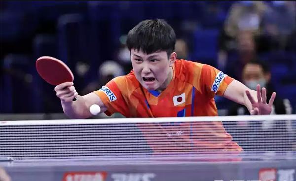 中国乒乓球队血洗波兰乒乓球队,张本智和爆发神勇 中国乒乓球队血洗波兰乒乓球队,张本智和爆发神勇