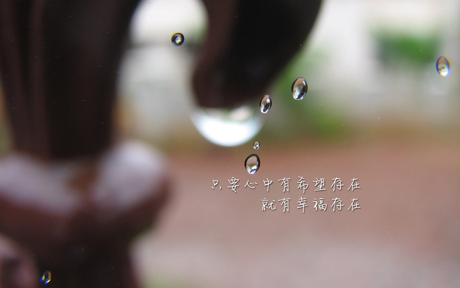 双重王冠,穆雷如何用温网的火焰点燃戴维斯杯的战场