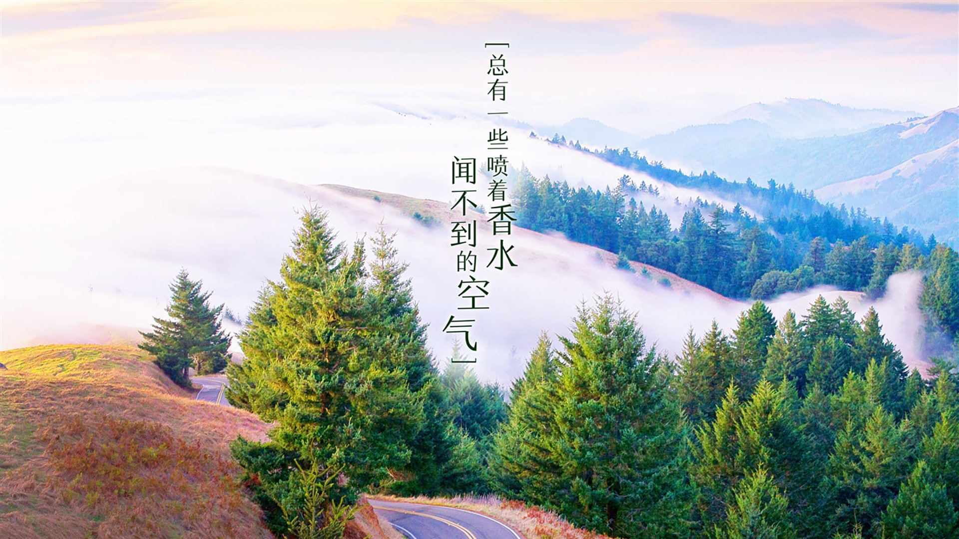 征服波士顿的封神夜,爱德华兹东决关键战加冕无争议全场最佳