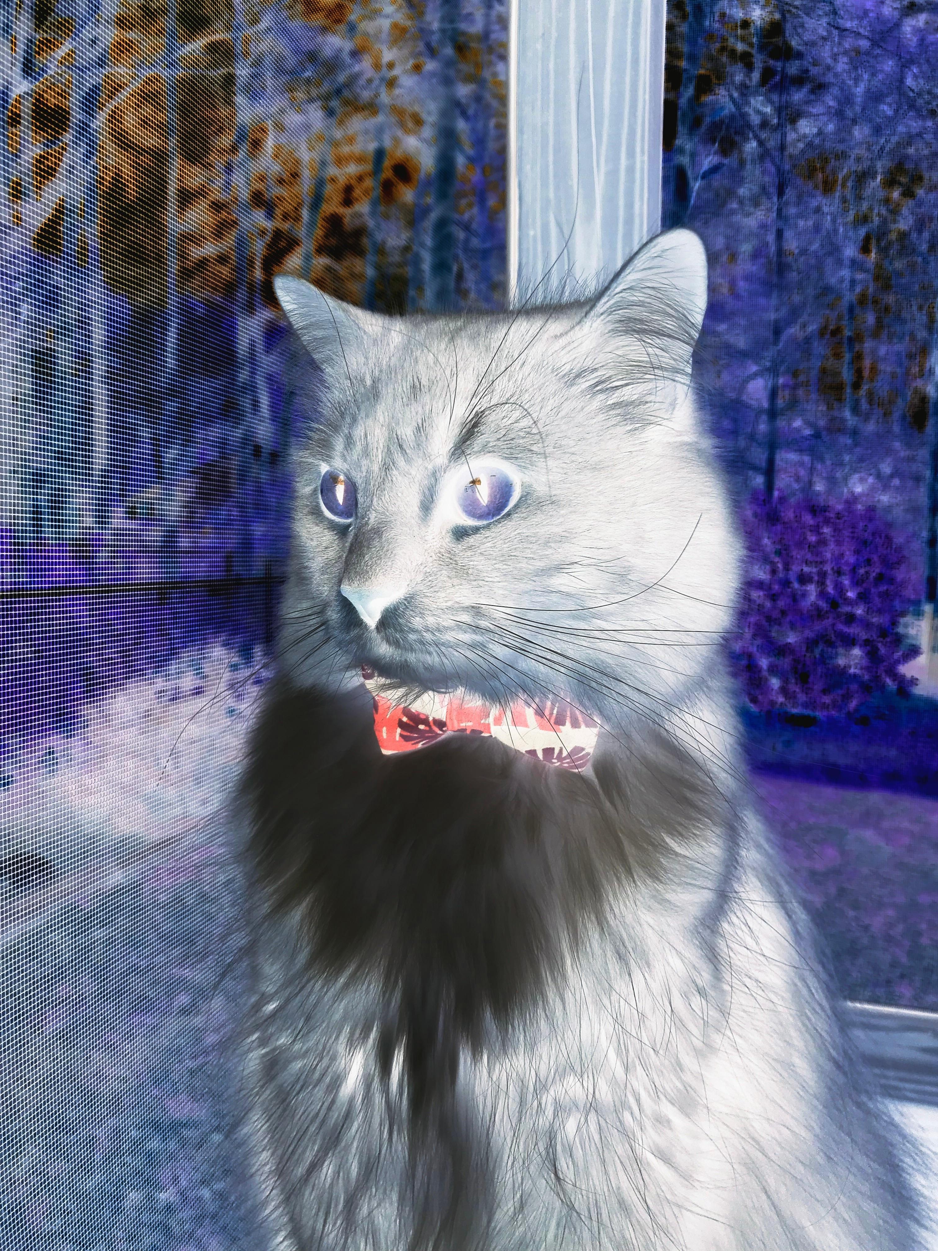 同一夜的魔术，山西绝境逢生与克利夫兰的双生奇迹